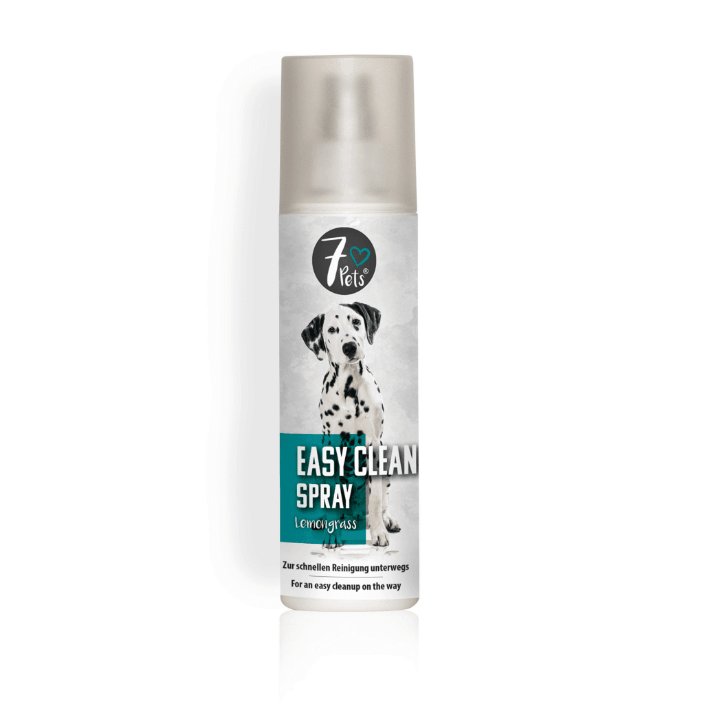 Kailio priežiūros priemonė Easy Clean Spray